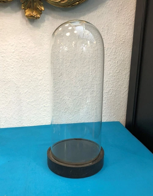 Dôme Verre Présentoir Dôme En Verre Avec Base En Bois - 11,5x11 Cm