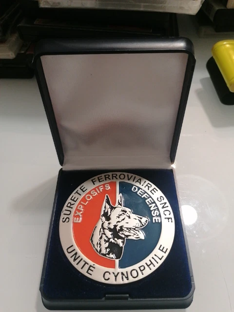 Ancien Insigne / Médaille De La Sûreté De La Ville De Grenoble - Pièce Vintage France