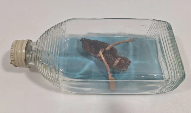 Vintage Ship in a Bottle Handmade 7" Canoe w/ Paddles 1927 Ottawa Canada Liquor