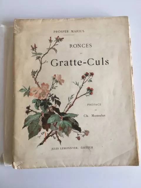 Prosper MARIUS ronces et gratte-culs Jules lemonnyer 1884 numéroté vélin E.O