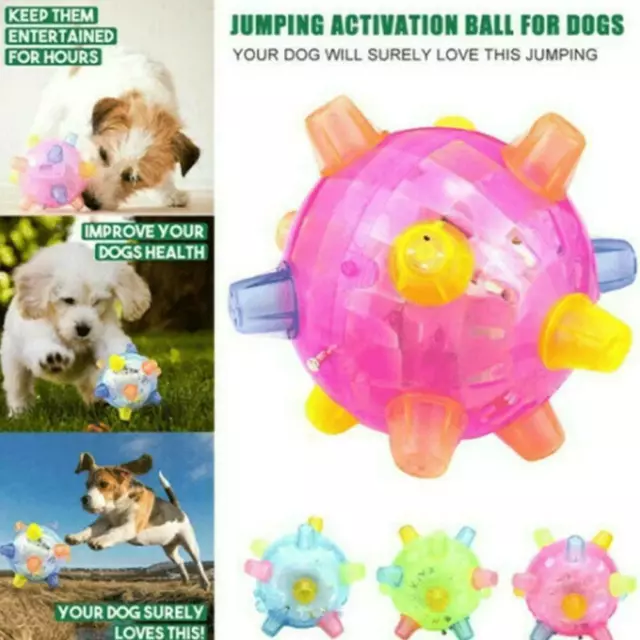 Jumping activation sales ball dog toy