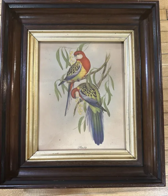 Antique Victorian Wood Frame Gold Gilt Deep Well Eastlake Birds & Botanicals