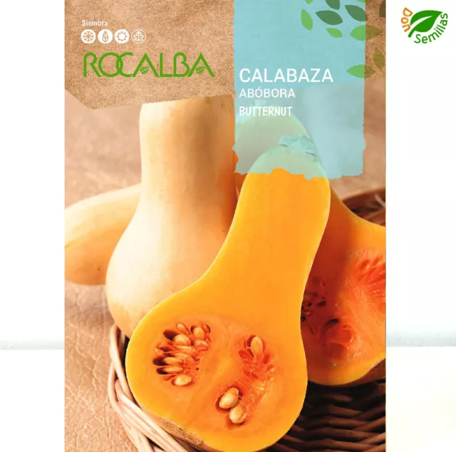 Calabaza Butternut ( 3 g / 20-30 semillas apróx ) seeds - Zapallo