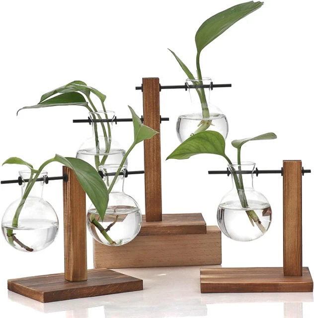 Vaso In Vetro A Forma Di Cuore Con Supporto In Legno - Vaso Idroponico Per Terrario, Decorazione Da Scrivania Per Casa E Ufficio, 20x6x15 Cm - 2