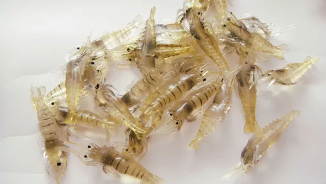50PCS Fishing Soft prawn Lure Shrimp Fake Bait Hook worm Silicone 4cm