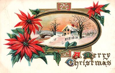 Vintage Postcard 1912 A Merry Christmas Greetings Poinsettia Red Flowers Winter