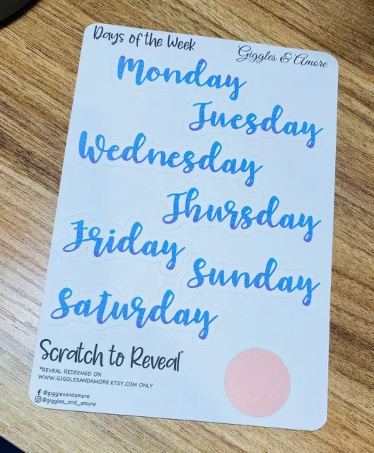 Days of the Week Planner Stickers/Bullet Journal/planner stickers/Erin  Condren