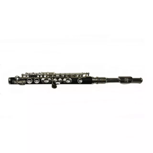 Schiller American Heritage 76 Piccolo Flute – Silver/Plastic