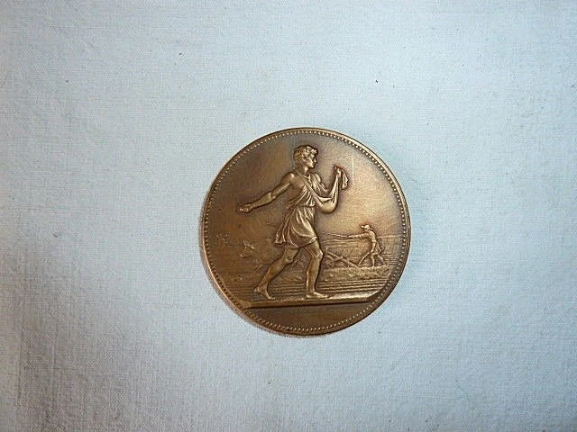 Médaille Comice Agricole Signée G. Lagrange - Cuivre + Boîte D'origine