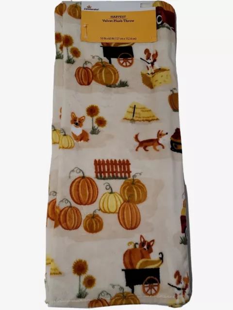 NWT Way to Celebrate 50" by 60"  Velvet Plush Throw Harvest Pumpkin Patch Cream