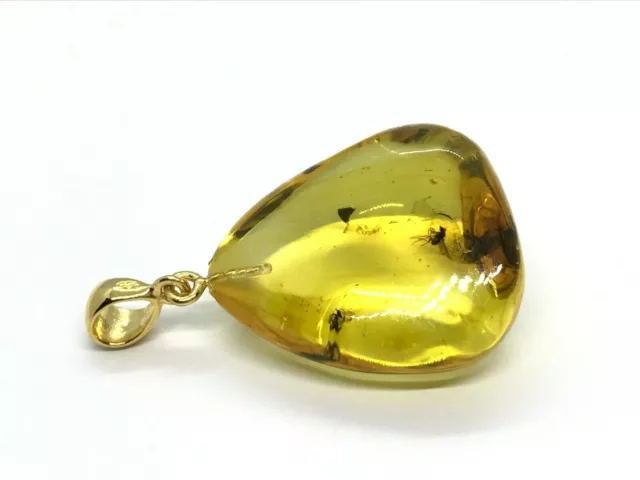 Natural Baltic Amber Pendant With Insect Inclusion Drop Silver Gold PL 5,3g 8317