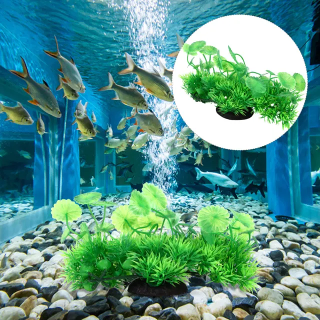 Plantes aquatiques vivantes, Aquariophilie, bassins, mares, Animalerie -  PicClick FR