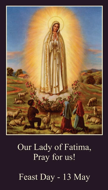 OUR LADY OF Fatima LAMINATED Prayer Card, 5-pack, Plus Two Free Bonus ...