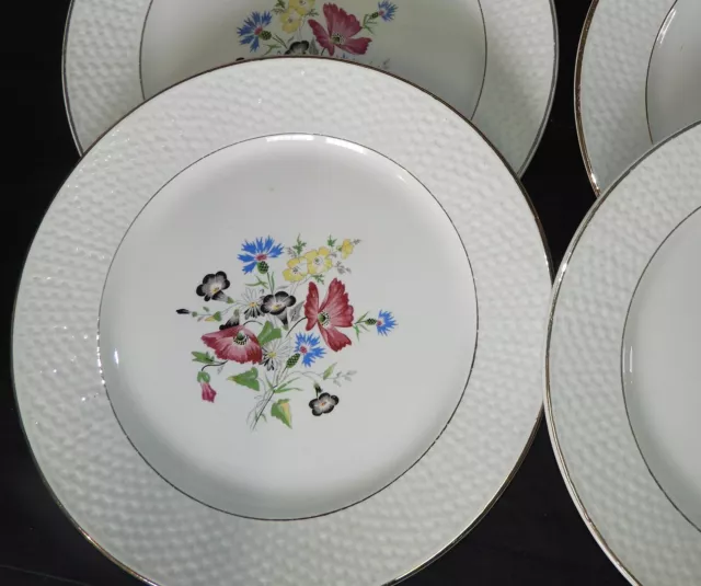 K] DIGOIN & SARREGUEMINES "Floralies" ** Lot x6 assiettes plates 23.5 cm (B) 2