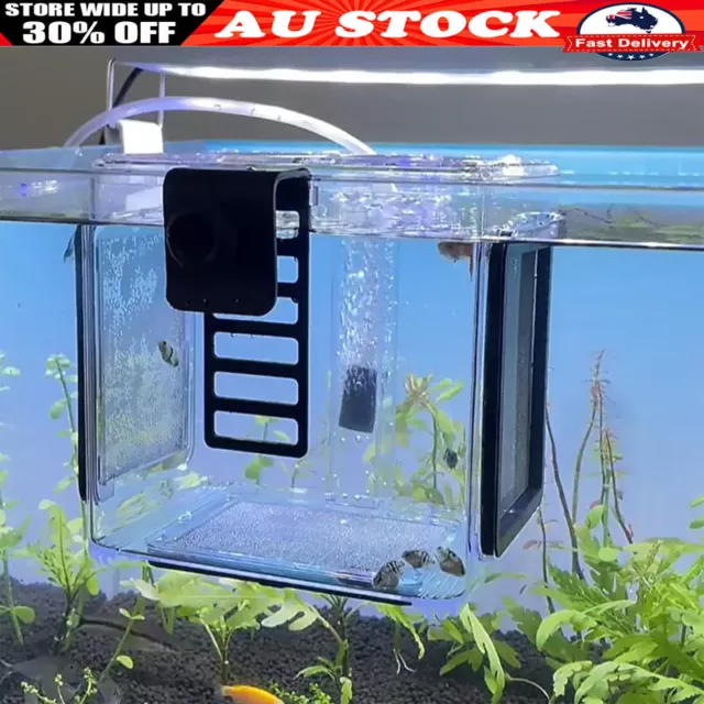 Fish Breeding Isolation Box Clear Hanging Fry Breeder for Newborn Fry Guppy AU