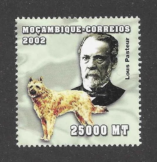 Dog Art Body Portrait Postage Stamp BELGIAN LAEKENOIS Mozambique 2002 MNH