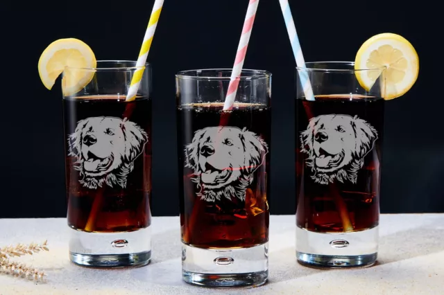 Golden | Retriever | Highball | Glass | Dog | Breed | Puppy | Gift