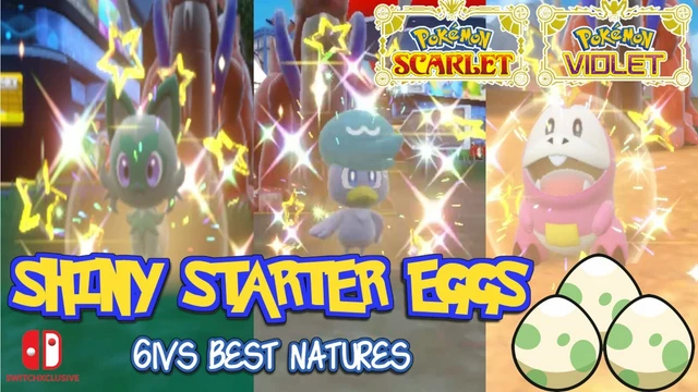 Sprigatito, Fuecoco &amp; Quaxly 🐈🐊🐧 : R/PokemonScarletViolet