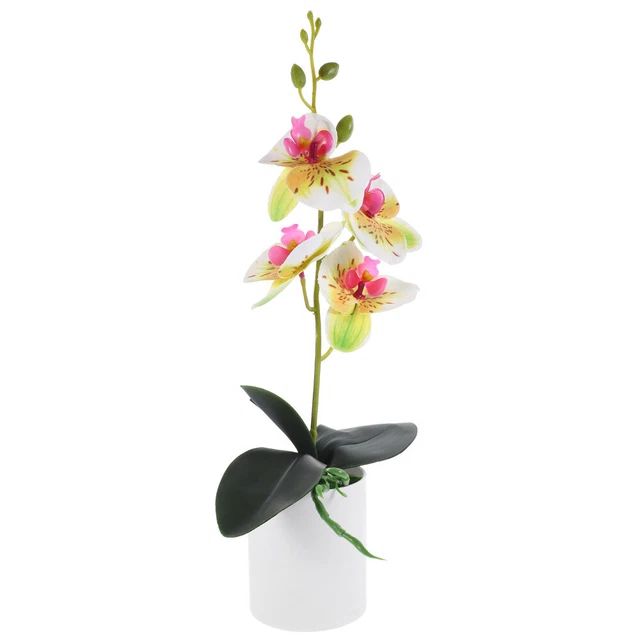 VASO SOSPESO IN Vetro Bicchiere Appendiabiti Per Piante Da Terrario EUR