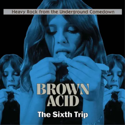 Various Artists Brown Acid: The Sixth Trip (Vinyl) 12" Album