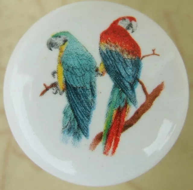 CABINET Knobs w/ Parrots Parrot Parrott Tropical BIRD