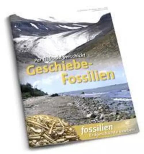 Geschiebe-Fossilien | Per Eisfracht verschickt | Jens Lehmann | Taschenbuch