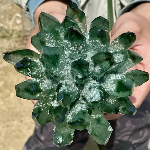 2.17LB New Find Green Phantom Quartz Crystal Cluster Mineral Specimen Healing