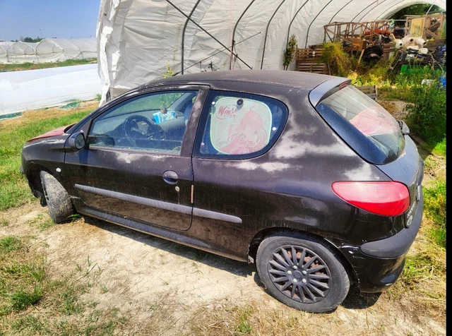 Regalo Peugeot 206