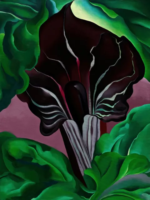 Jack in the Pulpit No. 2 Painting by Georgia O’Keeffe Art Reproduction