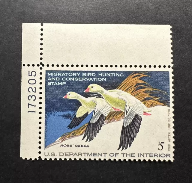 WTDstamps - #RW44 1977 Plate# - US Federal Duck Stamp - Mint OG NH