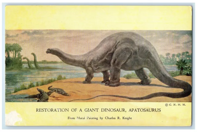 Restoration Giant Dinosaur Apatosaurus Chicago Natural History Museum Postcard