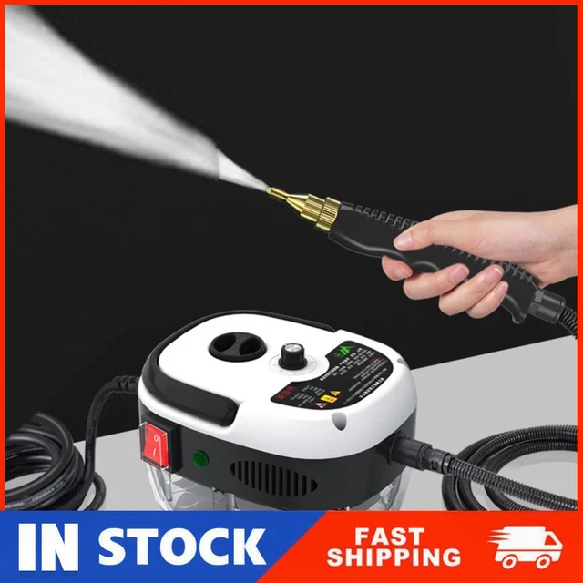 2500W Steam Cleaning Tools 110V 220V Handheld Steamer Cleaner for Household RAU