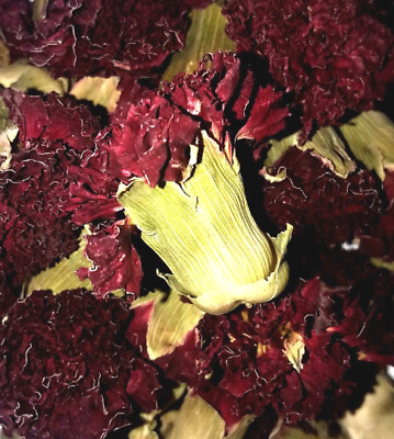 Carnation Buds - Organic Dried Flower - Dianthus caryophyllus  CHOOSE 0.5 - 4 oz