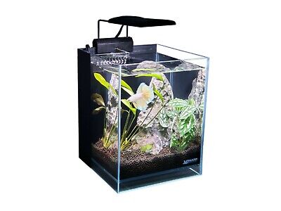 2.65 Gallon Betta Aquarium with Ultra Low Iron Clear Glass and Full Spectrum LED