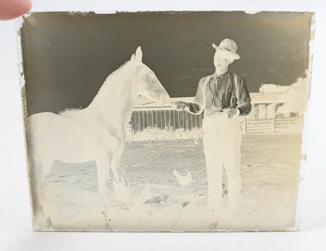 VINTAGE MAN FEEDING Horse Farm Chicken Glass Plate Negative Photo 5 X 