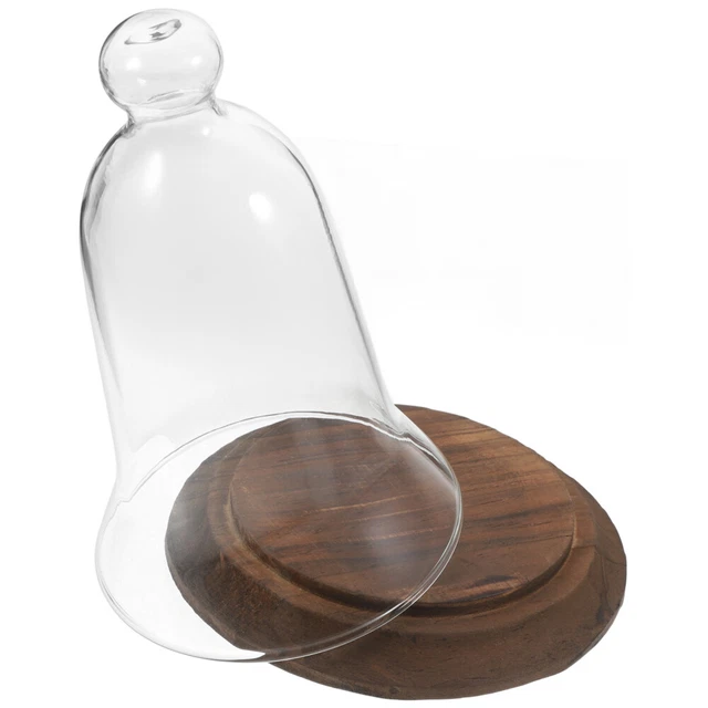 Dôme En Verre Avec Socle En Bois Mini Présentoir à Gâteau En Verre Cloche Cloche En Verre Transparent Couvercle For Dessert Fromage Bonbons Plantes Succulentes