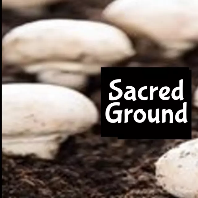 SACRED GROUND Perfume Cologne Body Splash Scrub Butter Lotion Hair Fragrance Oil