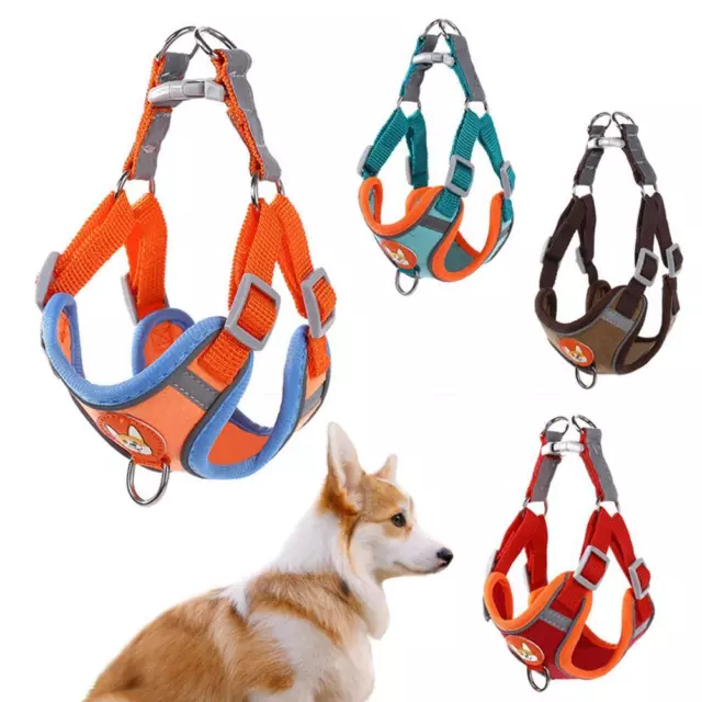 Reflective Pet Harness and Leash Safety Mesh Small Medium Dog Cat Walking NEW