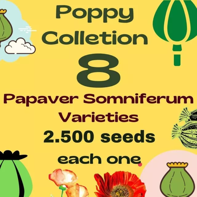 Papaver Somniferum Collection - 8 Different Varieties - 2500 seeds (1 gram) each