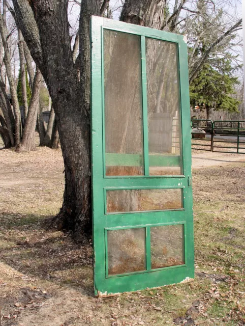 Vintage 1930s Green Painted Wooden Mortised Screen Door