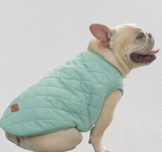 Vetement chien Gilet matelassé pour race type Bouledogue Français, vert pastel.