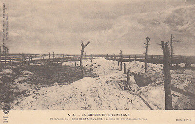 CPA GUERRE 14-18 WW1 MARNE LES HURLUS panorama du "bois rectangulaire"