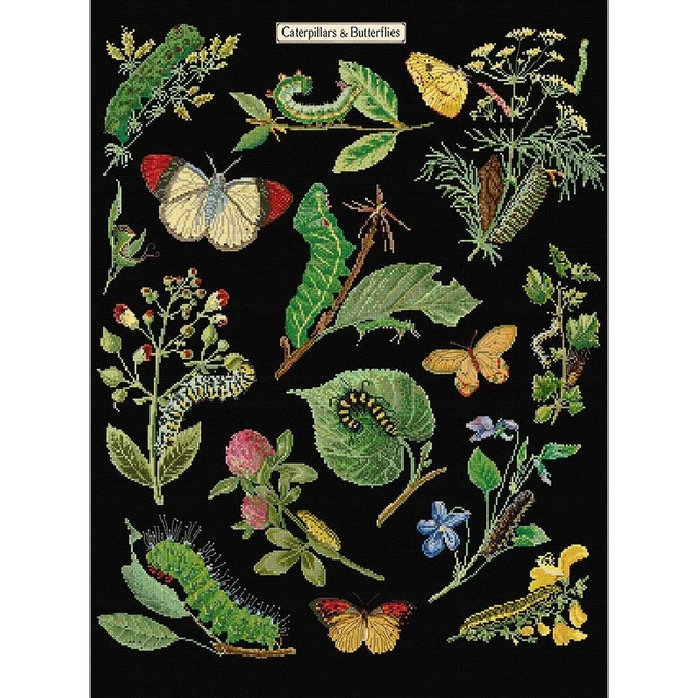 Thea Gouverneur 424 Aida Fleurs des champs