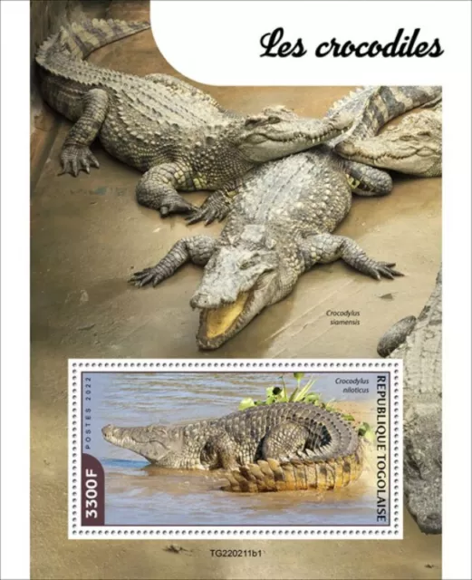 Togo - 2022 Nile Crocodiles - Briefmarke Souvenir Blatt - TG220211b1