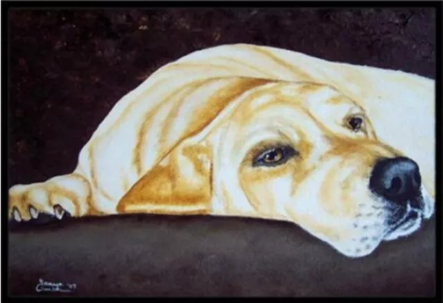 Carolines Treasures AMB1072JMAT Naptime Yellow Labrador - Indoor/Outdoor