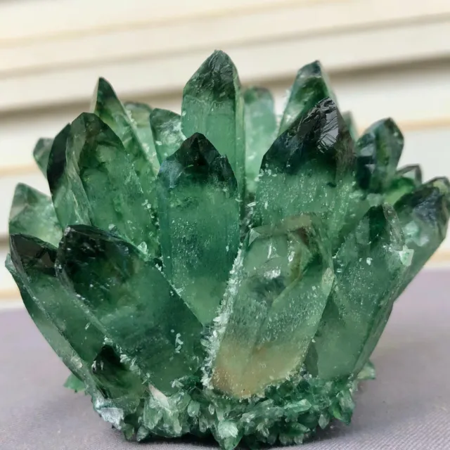 396G  New Find Green Phantom Quartz Crystal Cluster Mineral Specimen Healing