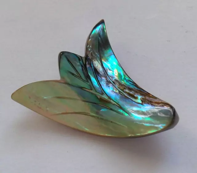 1 Natural Paua/Abalone Shell Bead, Carved Mermaid Tail. 33 mm Jewellery Making