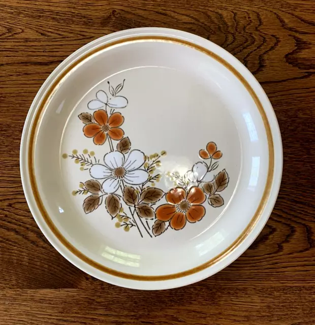 Set of 7 Highland Florals Collection Stoneware Brown Flower Dinner Plate 10.75"