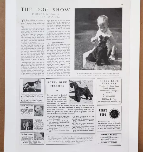 1940 Kerry Blue Terriers Club Henry Pattison 1939 Champion Page Photos