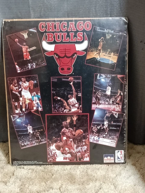 CHICAGO BULLS POSTER - Michael Jordan, Scottie Pippen and
